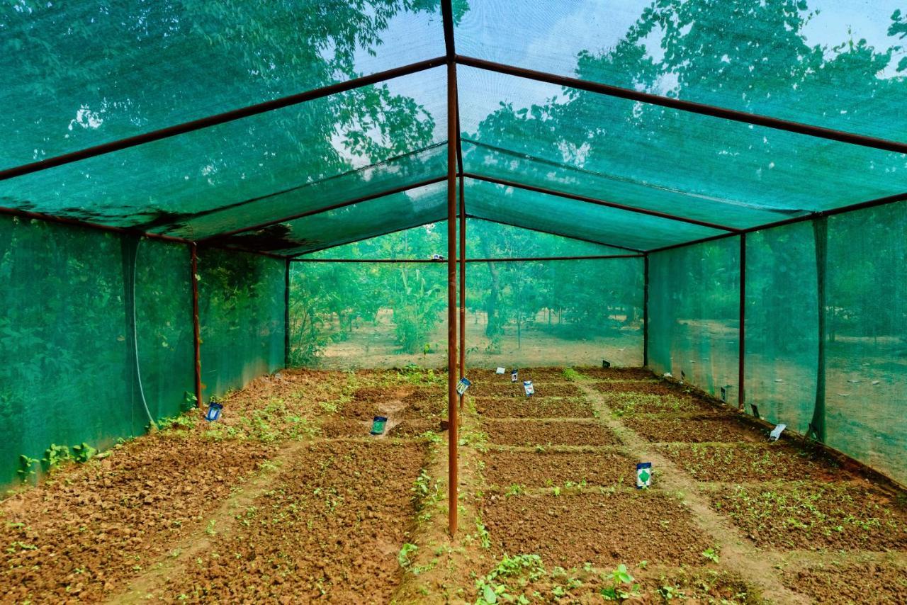 Kanha Jungle Camp Экстерьер фото